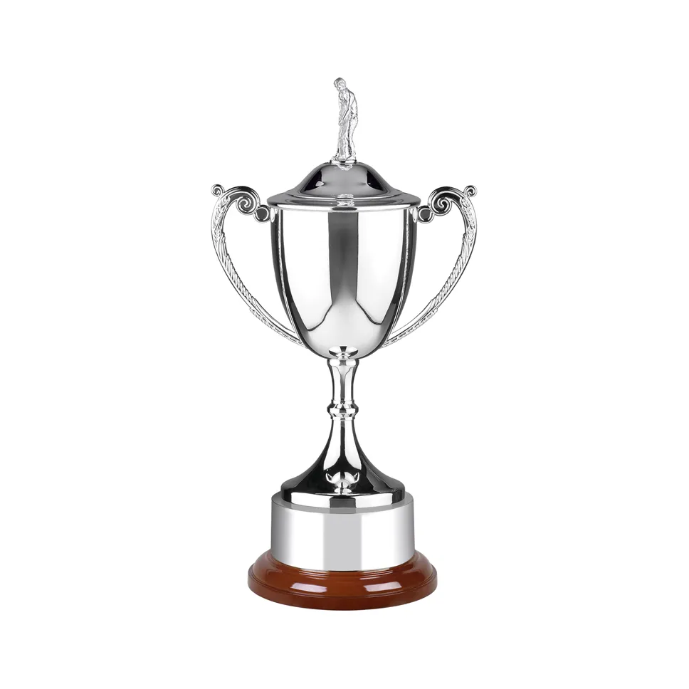 60318 636860870892531655